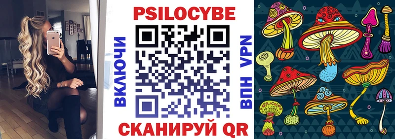 KRAKEN зеркало  Сибай  Галлюциногенные грибы прущие грибы  купить закладку 